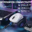 x3 max (3).webp