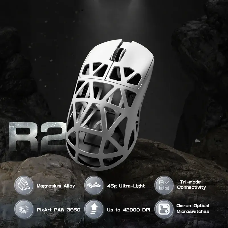 R2 (2).webp