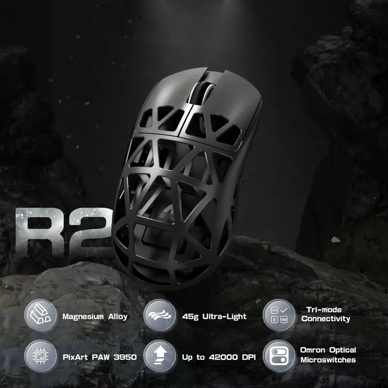 R2 (4).webp