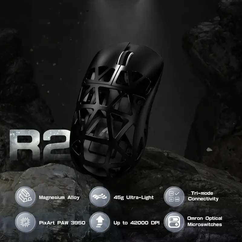 R2 (3).webp