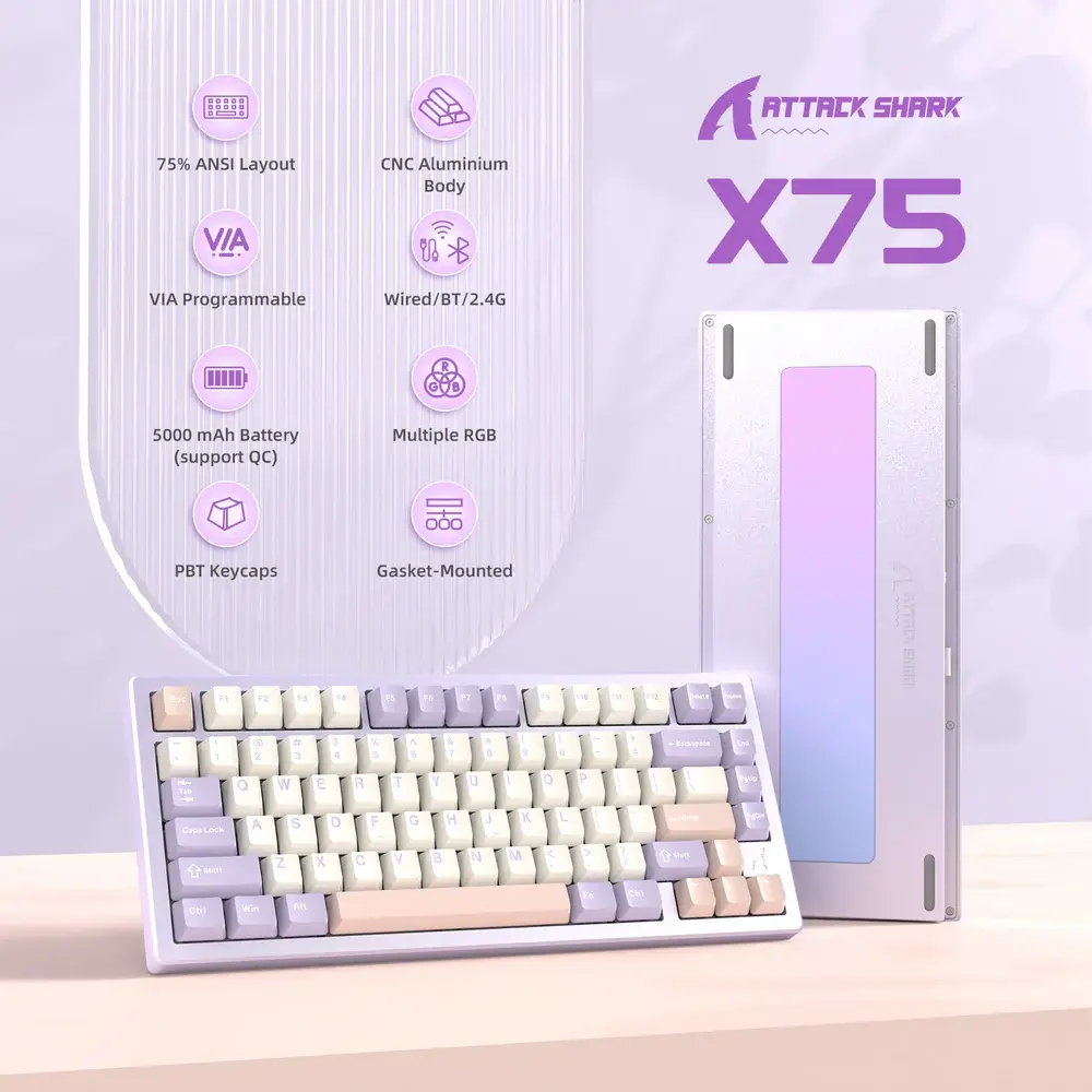 X75 (2).webp