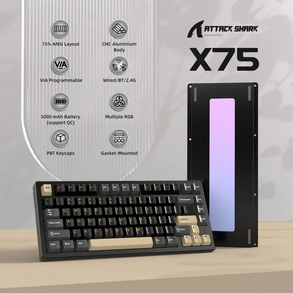 X75 (1).webp