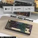 X75 (6).webp