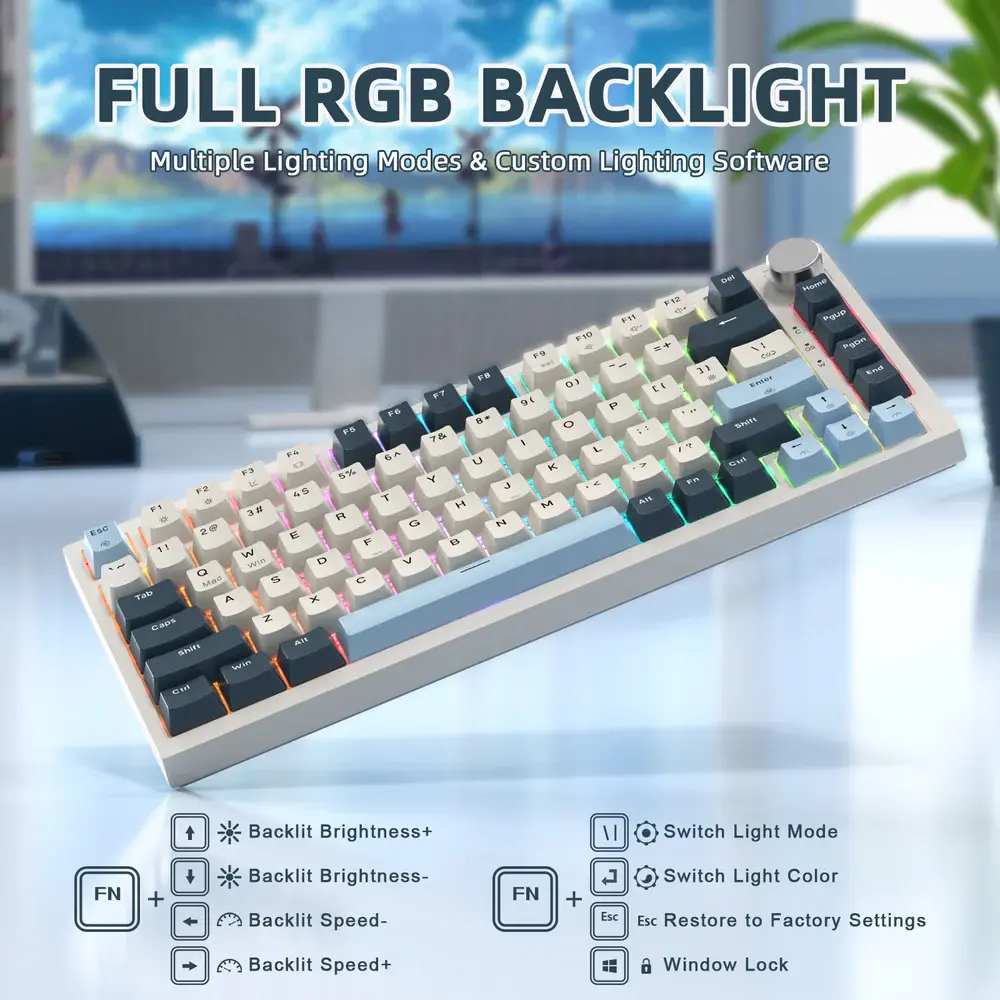 6_fdca2872-c361-4a42-bf34-114eeb5daf56.webp