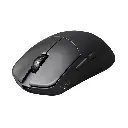 white_background4.webp