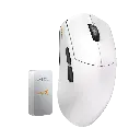 white_background2.webp