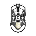 white_background3.webp