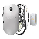 white_background1.webp