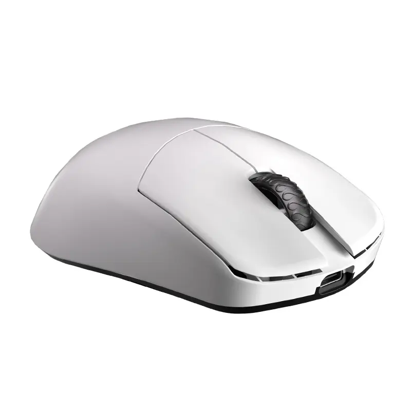 white_background5.webp