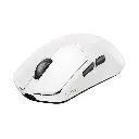 white_background4.webp