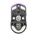 white_background2.webp